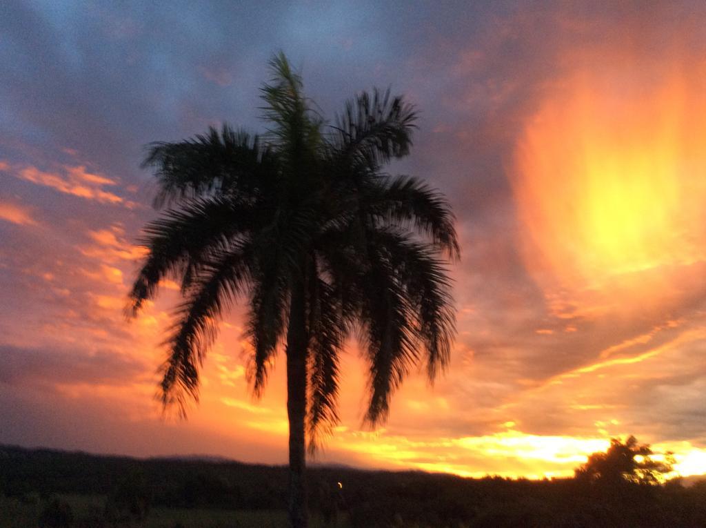 Casa Lilly Bed and Breakfast Cabarete Buitenkant foto